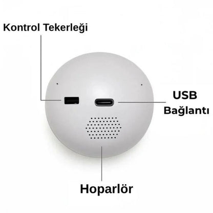 Anı Küresi